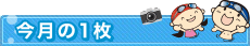 今月の1枚